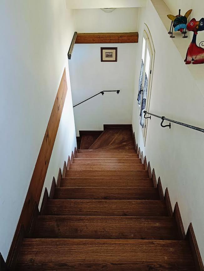 B&B Casa Del Bosco San Michele al Tagliamento Dış mekan fotoğraf